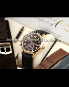Patek Philippe Calatrava Pilot Travel Time réf.5524R - Image 6